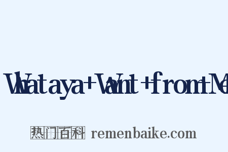Whataya Want from Me是什么意思的图片